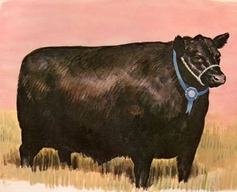 Tanize's Cow Cow Tools, Fat Cow, Cow Illustration, Bull Art, Dorm Art, Black Cow, Bear Pictures, Big Art, Sketchbook Inspiration