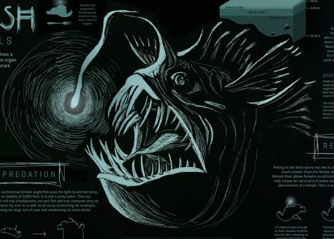 Angler Fish Painting, Anglerfish Art, Showcase Portfolio, Concept Artist Portfolio, Underwater Drawing, Monster Sketch, Monster Tattoo, Deep Sea Creatures, Weird Fish