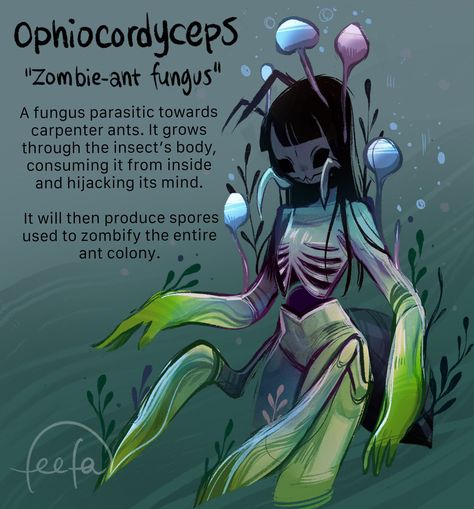 Feefal Art, Fictional Disease Art, Fantasy Creatures Art, Mushroom Art, Creature Concept Art, Creature Concept, Japanese Artists, Sketchbook Art Inspiration, Art Inspiration Drawing