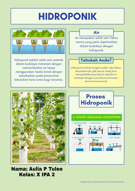 Agriculture Business Plan, Canva Idea, Agriculture Business, Infographic Poster, Plant Garden, House Plants Decor, Mind Map, Hydroponics, Plant Decor