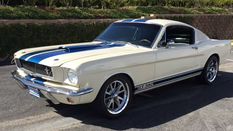 Old Ford Mustang, Shifting Help, White Mustang, Studebaker Trucks, 1965 Ford Mustang, 1965 Mustang, Old Vintage Cars, Ford Mustang Fastback, Future Cars