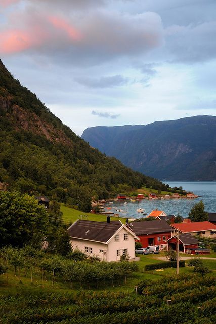 Solvorn Norway, Norway Nature, Shotting Photo, Places In The World, Beautiful Places In The World, Nature Aesthetic, Oh The Places Youll Go, Travel Inspo, Pretty Places