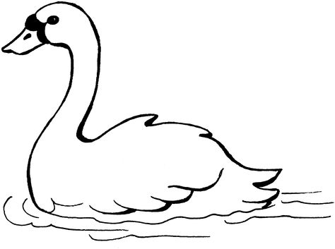 Swan Outline, Swan Birthday, Kids Activity Center, Swan Pictures, Baby Swan, Animal Outline, Bird Free, Animal Coloring Books, Clipart Black And White