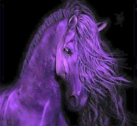 Purple Pages, Purple Horse, Purple Animals, Purple Girls, Purple Reign, Purple Art, Purple Love, All Things Purple, Amethyst Purple