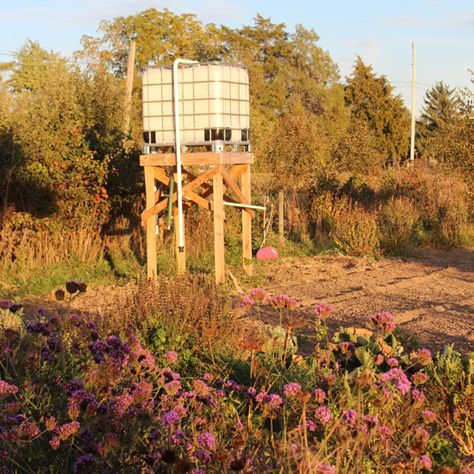 Rainwater Cistern, Rain Water Collection Diy, Water Collection System, Water From Air, Rainwater Collection, Water Harvesting, Rainwater Harvesting System, Rain Barrels, Conserve Water