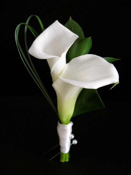 Boutonniere Wedding Calla Lily, Calla Lily Buttoniere, Groom Boutonniere Calla Lily, Boutineer Calla Lily, Mini Calla Lily Boutonniere, White Calla Lily Boutonniere, Calla Lily Boutonniere Wedding, Calla Lily Buttonhole, Modern Boutineer Ideas