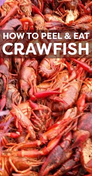 Seafood Gumbo Recipe Easy, How To Eat Crawfish, How To Cook Crawfish, Crawfish Boil Recipe, Louisiana Dishes, Crawfish Boil Party, Crawfish Recipes, Louisiana Seafood, Louisiana Crawfish