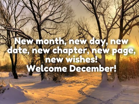 hello december quotes                                                                                                                                                                                 More 1 December Quotes, December 1st Quotes, Happy New Month Images, Welcome December Quotes, Hello December Quotes, Goodbye November, Happy New Month Messages, Hello December Images, December Wishes