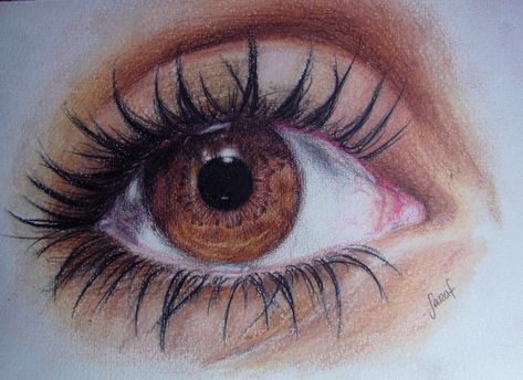 Eye Pencil Sketch, Pen Art Work, Watercolor Eyes, Prismacolor Art, Eye Sketch, Art Drawings Sketches Pencil, Eye Painting, Brown Art, Portrait Sketches