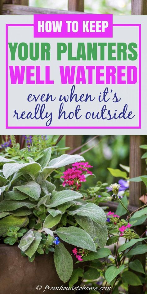 This step-by-step tutorial will help you set up an automatic watering system that will keep outdoor planters watered while you're on vacation #fromhousetohome #watering #containers  #gardening Plant Watering System, Automatic Watering System, Garden Watering System, Watering System, Evergreen Plants, Spring Plants, Garden Route, Low Maintenance Garden, Outdoor Pots