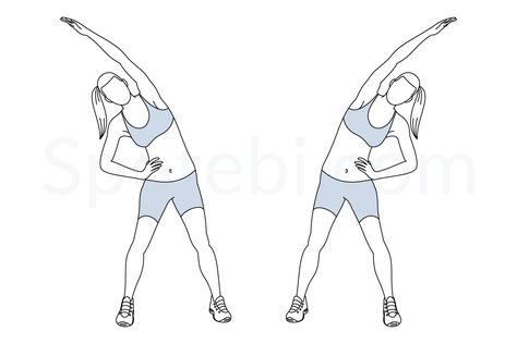 Obliques stretch exercise guide with instructions, demonstration, calories burned and muscles worked. Learn proper form, discover all health benefits and choose a workout. Exercise Drawing, Lat Workout, Leg Lifts Workout, Stretch Exercise, Post Workout Stretches, Push Workout, Oblique Workout, Back Fat Workout, Calories Burned