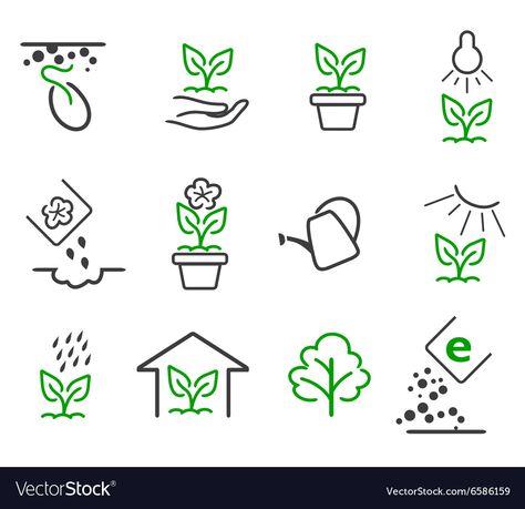 Flora Vector, Desain Ux, Plant Inspiration, Plant Icon, Tree Garden, Plant Growing, Outdoor Plant, Education Logo, Eco Friendly Design