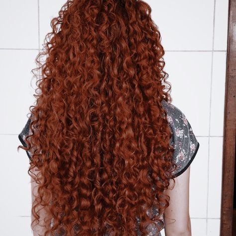 Dark Ginger Curly Hair, Redhead Curly Hair, Auburn Curly Hair, Long Curly Red Hair, Redhead Hair Color, Ginger Hair Dyed, Redhead Hairstyles, Copper Red Hair, Red Curls