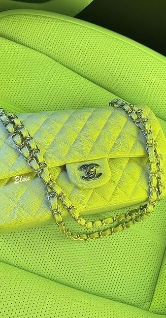 Chartreuse Aesthetic, Lime Green Aesthetic, Square Pictures, Picture Cartoon, Aesthetic Profile Picture Cartoon Soft, Bright Bag, Aesthetic Profile, Green Pictures, Red Green Christmas