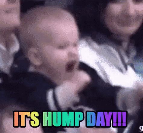 Funny & Silly Wednesday Gifs To Get You Through The Day Hump Day Gif, Hockey Gif, Excited Gif, Hockey Kids, Tv Land, Celebration Gif, Kids Discover, Hump Day, Baby Gif