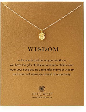 Dogeared Gold-Dipped Wisdom Owl Necklace Gold Diamond Cross Necklace, Owl Wisdom, Diamond Cross Necklace Gold, Diamond Cross Necklace, 2 Chainz, Owl Necklace, Owl Jewelry, Necklace Diamond, Crescent Moon Necklace