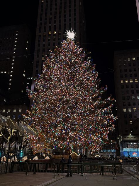 Rockerfella Christmas Tree New York, Rockefeller Center Christmas Aesthetic, Nostalgia Aesthetic 2000s, Nyc Christmas Tree, Rockefeller Tree, Rockefeller Christmas Tree, Childhood Christmas, Christmas Nyc, Chickens In The Winter