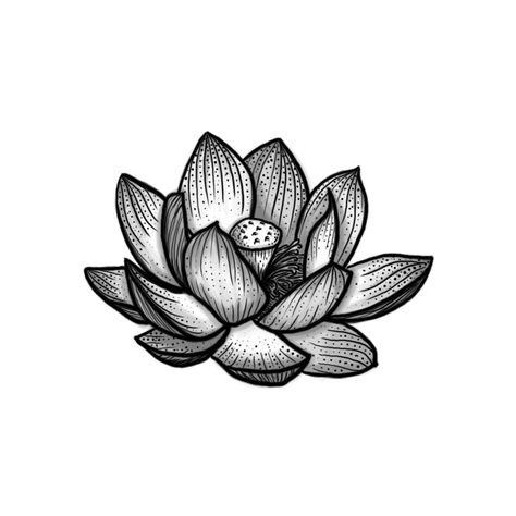 Lotus Tattoo Traditional, Old School Lotus Tattoo, Masculine Lotus Tattoo, Lotus Tattoo Design Men, Lotus Traditional Tattoo, Lotus Flower Tattoo Traditional, Traditional Lotus Flower Tattoo, Lotto Tattoo, Traditional Lotus Tattoo