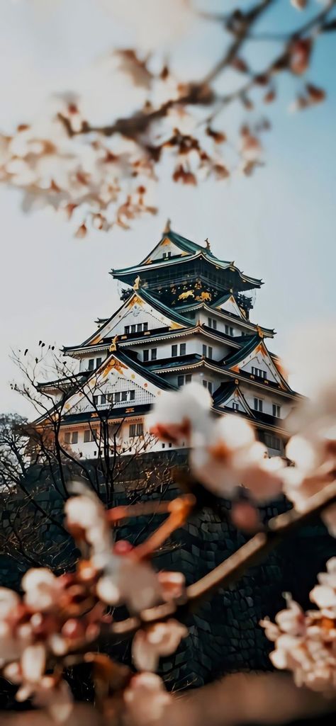 Kyoto Wallpaper, Japan Scenery, Bridge Wallpaper, Japanese Wallpaper, Japanese Wallpaper Iphone, Japanese Castle, Osaka Castle, Planets Wallpaper, 8k Wallpaper