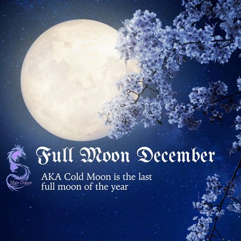 As we approach winter's longest nights, December 7 is when we have the Cold Moon - a super-long night when the Sun in Sagittarius and Moon in Gemini are hanging out directly across from each other. It's almost like they're having a showdown! Plus, Mars Retrograde is in Gemini too, so there might be quite a few closure moments during this special time. Should be an interesting one! majixdragon.com/blogs/news/full-moon-cold-moon-december-7-2022 December Cold Moon, Sun In Sagittarius, Full Cold Moon, December Full Moon, Moon Gemini, Frost Moon, Moon In Gemini, Mars Retrograde, Snow Moon