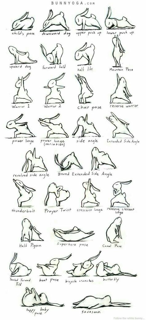 I think this is just cute Bunny Yoga, Morning Yoga Sequences, Yoga Ashtanga, Yoga Nature, Yoga Kids, Yoga Iyengar, Kids Yoga, Yoga Journal, Yoga Photography