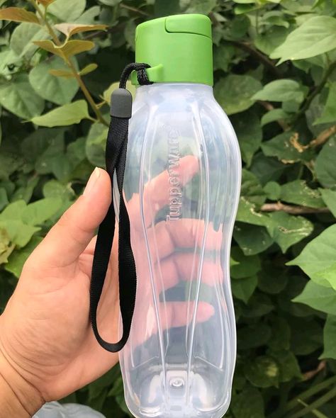 Cute Water Bottles, Tumbler Cups Diy, Tumbler Cups, Tupperware, Drinking Water, Flask, Reusable Water Bottle, Water Bottles, Water Bottle