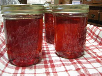 Just Plummy: How to Make Sand Plum Jelly Sand Plum Jelly Recipe, How To Make Sand, Maple Sugaring, Plum Juice, Plum Jam Recipes, Homemade Vegetable Broth, Tea Concentrate, Native American Food, Canning Pickles