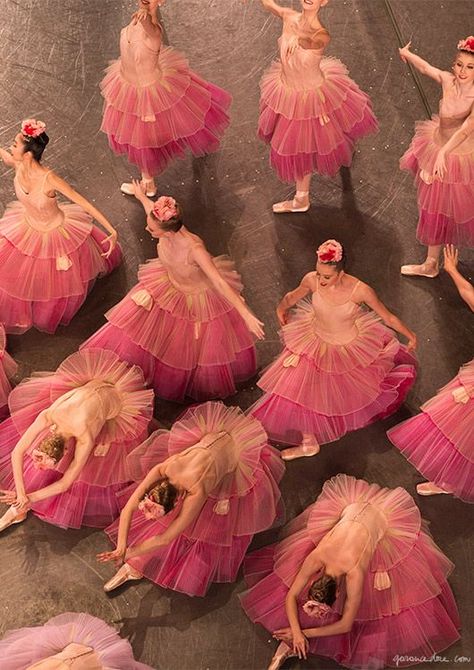 Ballet Beauty, Ballet Inspiration, Tutu Skirts, City Ballet, Nutcracker Ballet, Ballet Photography, Ballet Beautiful, Ballet Costumes, Tiny Dancer