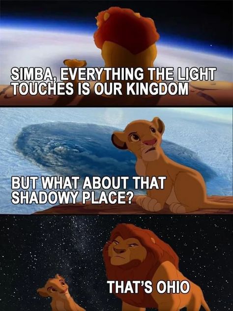 /r/Memes the original since 2008 Ohio Memes, King Meme, Jokes Hilarious, Comedy Jokes, R Memes, The Lion King, Stand Up Comedy, The Lion, Best Memes