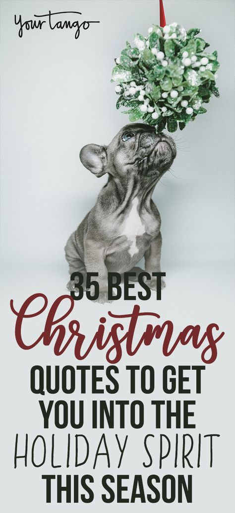 35 Best Holiday Quotes That Show Us What Christmas Is All About | YourTango Holiday Positive Quotes, Holiday Motivation Quotes, Christmas Week Quotes, Quotes About Holidays, Christmas Spirit Quotes, Holiday Spirit Quotes, Holiday Quotes Inspirational, Holiday Cheer Quotes, Christmas Season Quotes