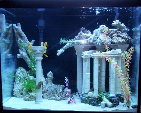 Seahorse Aquarium Set Up | well i just want picture of everyones tank just so i… Atlantis Fish Tank, Pretty Fish Tank Ideas, Black And White Fish Tank, Pretty Fish Tank, Crystal Fish Tank, Fish Tank Castle, Sand Fish Tank, Cute Fish Tank, Seahorse Aquarium