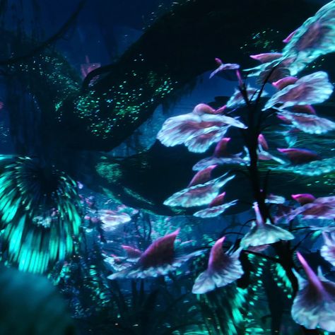 Bioluminescence Avatar, Avatar Bioluminescence, Bioluminescent Aesthetic, Bioluminescence Mermaid, Bioluminescent Alien, Avatar Visualization, Bioluminescence Creatures, Bioluminescence Beach, Bioluminescence Aesthetic