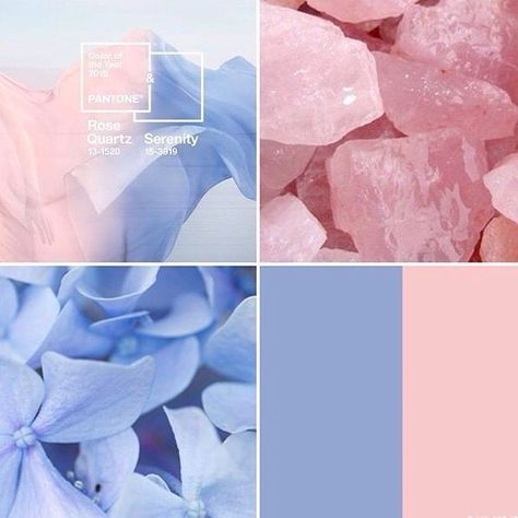 Pantone Rose, Pantone Serenity, Pantone Rose Quartz, Serenity Color, Pantone 2016, Rose Quartz And Serenity, Pantone Colours, Rose Quartz Serenity, Pantone Colour Of The Year