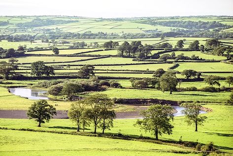 Natural Resources Wales / Ecosystem resilience field guide Urban Habitat, Street Trees, Natural Resource, Land Management, Land Use, Community Gardening, Water Quality, Field Guide, Natural Resources