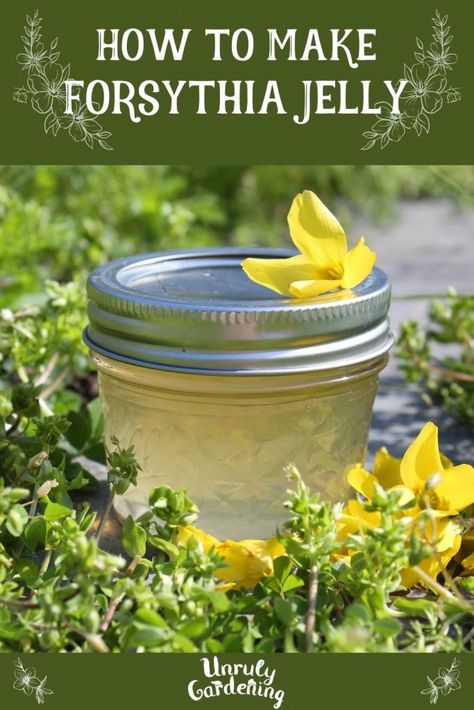 Grape Hyacinth Jelly Recipe, Forsythia Bush, Edible Flowers Recipes, Diy Medicine, Food Preserving, Clean Flowers, Foraging Recipes, Homemade Jelly, Edible Wild Plants