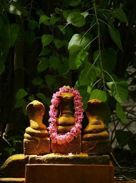 Feng Shui Tips For Money, Home Vastu, Kerala Travel, God Pics, Amazing India, Goddess Sculpture, Lord Siva, Dream Photography, God's Own Country