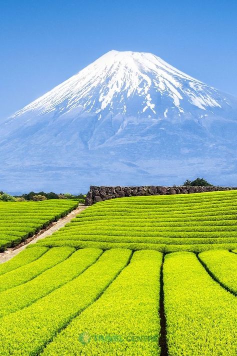 Japan Beach, Japan Tourist, Mount Fuji Japan, Fuji Mountain, Japan Photography, Japanese Landscape, Mt Fuji, Manama, Amazing Views