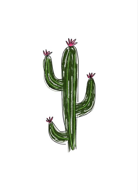 Digital drawing of a cactus Cactus With Flowers Drawing, Bloom Drawing, Cactus With Flowers, Cactus Bloom, Cactus Drawing, Cactus Illustration, Blooming Cactus, Flowers Drawing, Flowers Png