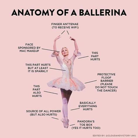 Ballet Jokes, Ballet Humor, Dance Quotes Inspirational, Dance Problems, Dancer Quotes, Ballet Quotes, Dance Motivation, Dancer Problems, Dance Memes