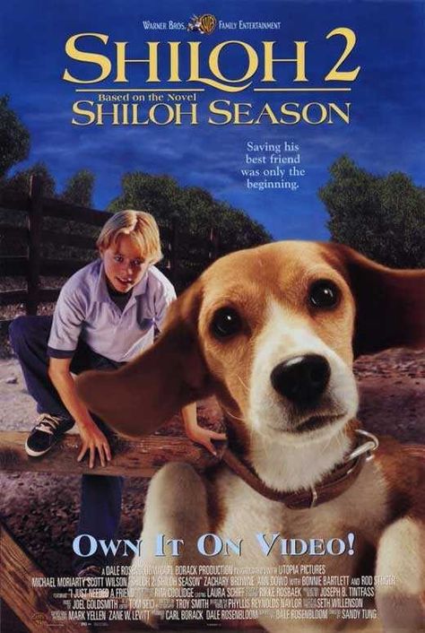 Shiloh 2 Kevin Zegers, Dog Movies, Iconic Movie Posters, Movies By Genre, Most Popular Movies, Independent Reading, Family Entertainment, Popular Movies, Tv Episodes