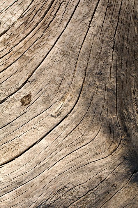 Wood Texture Photography, Wood Grain Aesthetic, Rustic Wood Aesthetic, Natural Texture Aesthetic, Wood Astethic, Natural Texture Inspiration, Natural Wood Aesthetic, Driftwood Texture, Wood Material Texture