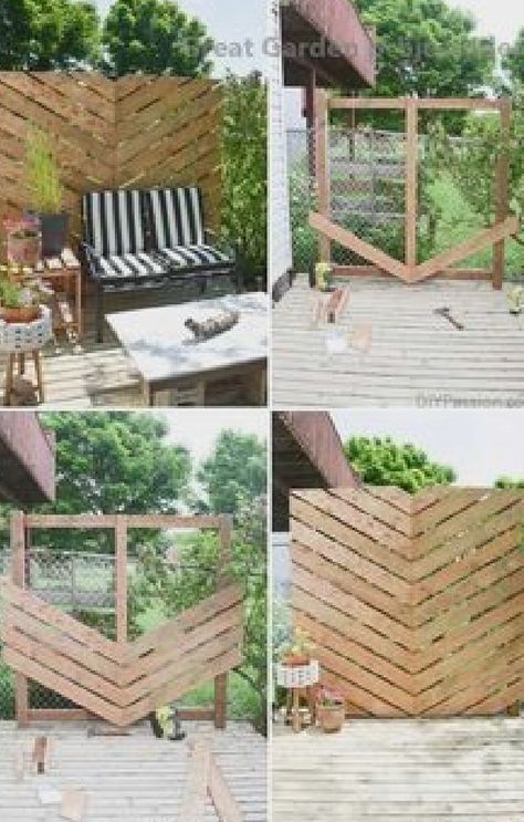 Backyard Privacy Screen, Diy Garden Patio, Fence Plants, Patio Privacy, Privacy Landscaping, Living Fence, Cheap Backyard, Wooden Deck, Garden Privacy