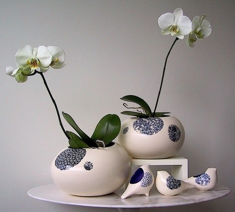 I love the orchid pots Orchid Pots, Outside Room, Clay Planters, Orchid Pot, Garden Fountain, Orchid Care, Fabric Flowers Diy, Orchid Plants, Pottery Planters