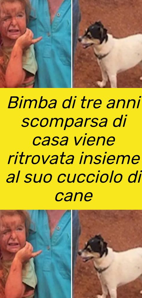 Una bambina scomparsa di casa viene ritrovata a 3,5 km dalla sua abitazione insieme al suo fidato Jack Russel #cani Jack Russel, Jack Russell