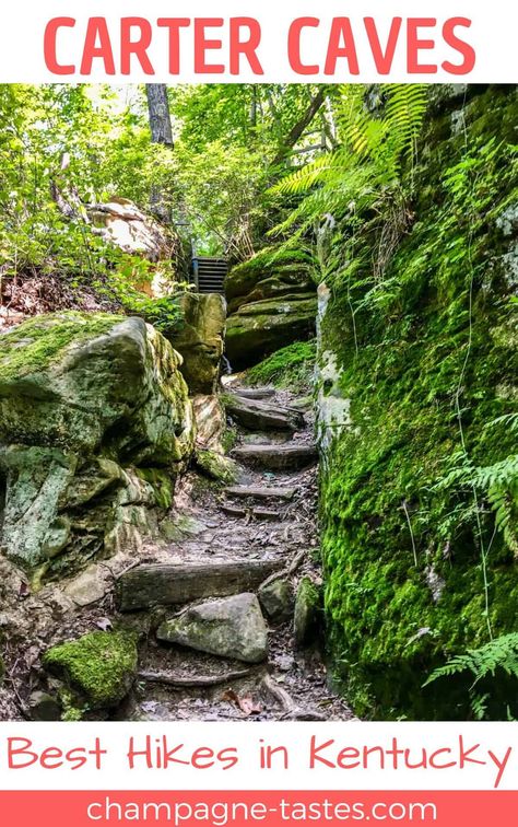 Are you planning to visit Carter Caves State Park?  This park has more than just caves-- the Three Bridges Trail is one of the prettiest hikes in Kentucky! Kentucky Hiking, Kentucky Photography, Kentucky Attractions, Kentucky Vacation, Honeymoon Photography, Kentucky Travel, Hiking Places, Red River Gorge, Writing Book