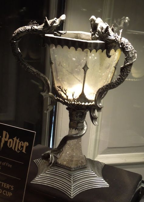 Triwizard Cup, Harry Potter Props, Cumpleaños Harry Potter, Film Costumes, Harry Potter Movie, Fire Movie, Harry Potter Items, Festa Harry Potter, Harry Potter Cosplay