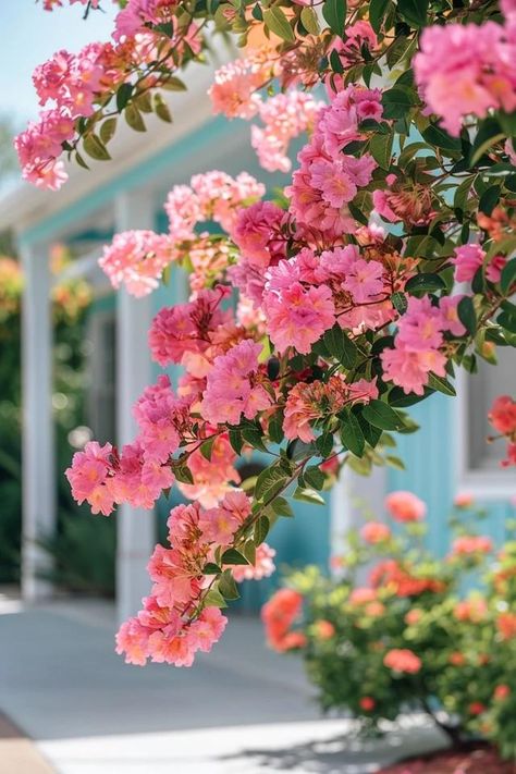 Crepe Myrtle Landscaping Ideas for Stunning Gardens Crepe Myrtle Landscaping, Coastal Autumn, Crepe Myrtle Trees, Stunning Gardens, Garden Vertical, Myrtle Tree, Crepe Myrtle, Backyard Balcony, Crape Myrtle