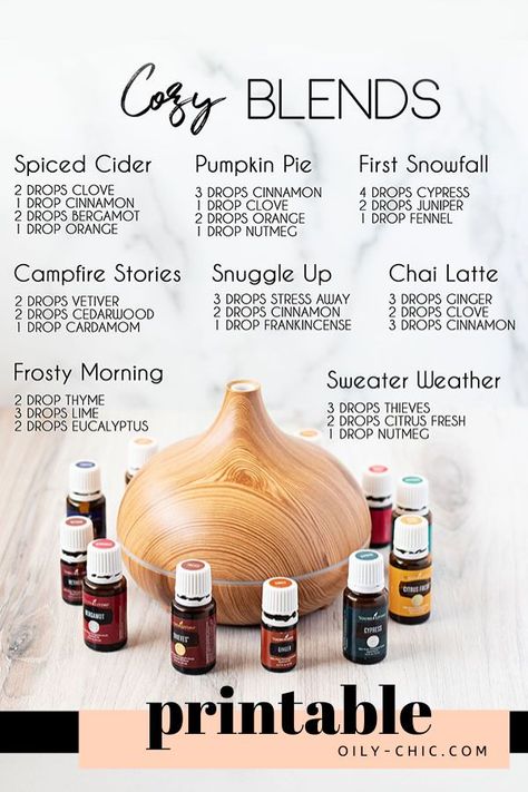 Essential Oil Diffuser Blends for the Cozy Season: because everyone deserves to come home to all things cozy. Pick a new blend each day! Fall Essential Oils, Oils For Hair, Benefits Of Essential Oils, Essential Oil Combinations, Essential Oil Diffuser Blends Recipes, Young Living Essential Oils Recipes, Essential Oils Herbs, Essential Oil Diffuser Recipes, Oil Diffuser Recipes