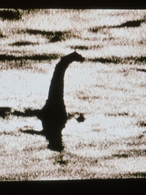 Loch Ness monster. The cryptid. Cryptidcore Aesthetic, I'm Toxic, The Loch Ness Monster, Monster Tattoo, Loch Ness Monster, Loch Ness, Lucky Girl, Monster Hunter, Mythical Creatures