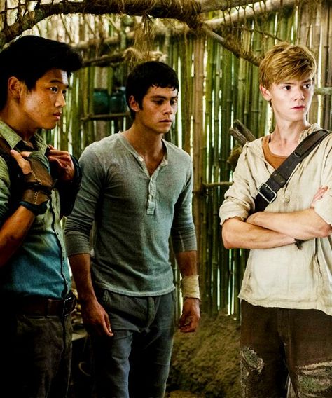 Minho, Thomas, Newt Ivy Trio, Maze Runner 1, Maze Runner Thomas, Maze Runner The Scorch, Maze Runner Trilogy, Maze Runner Cast, James Dashner, Maze Runner Movie, The Scorch